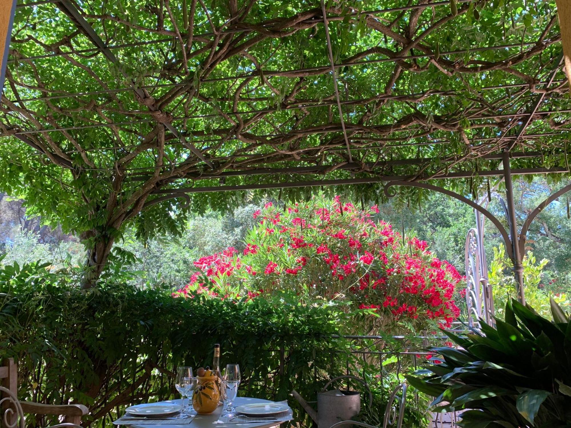 Sous Les Pins Parasols Видобан Екстериор снимка